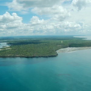 Programme Kenya 2012 : Le Masai Mara Et L'île De Funzi 