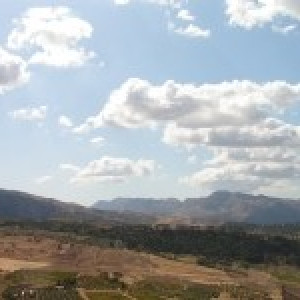 Information sur les pays