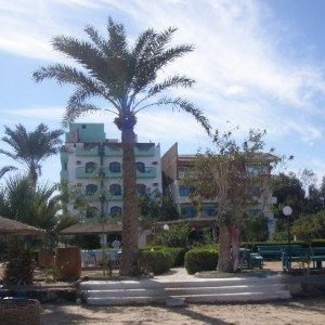 Duikvakantie in Safaga